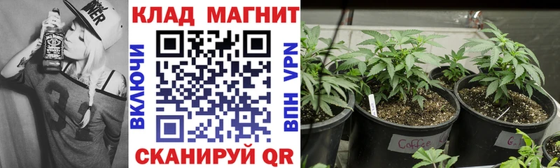 Виды наркоты Кострома Амфетамин  Марихуана  МЕТАМФЕТАМИН  МЕФ  hydra сайт  Alpha PVP  ГАШ 