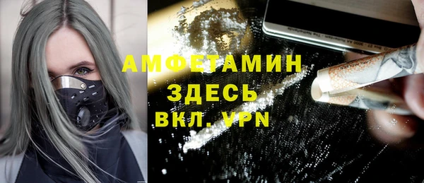 тгк Вяземский