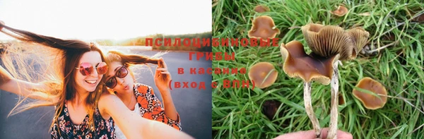 кокс Волосово