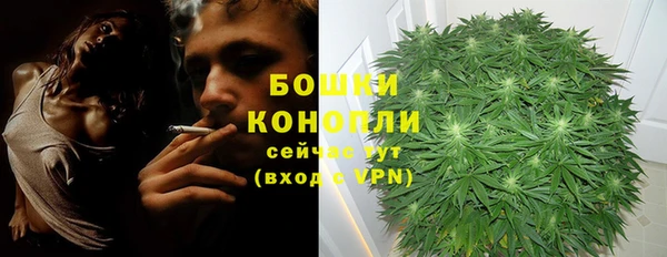 тгк Вяземский
