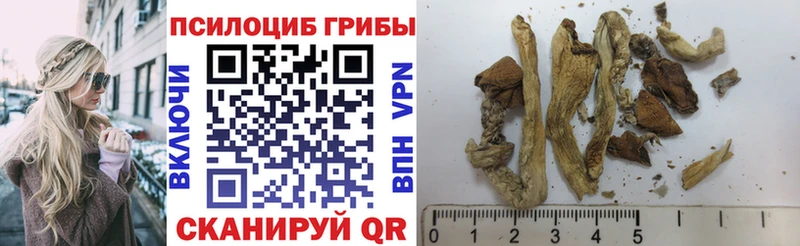 Галлюциногенные грибы прущие грибы  Кострома 